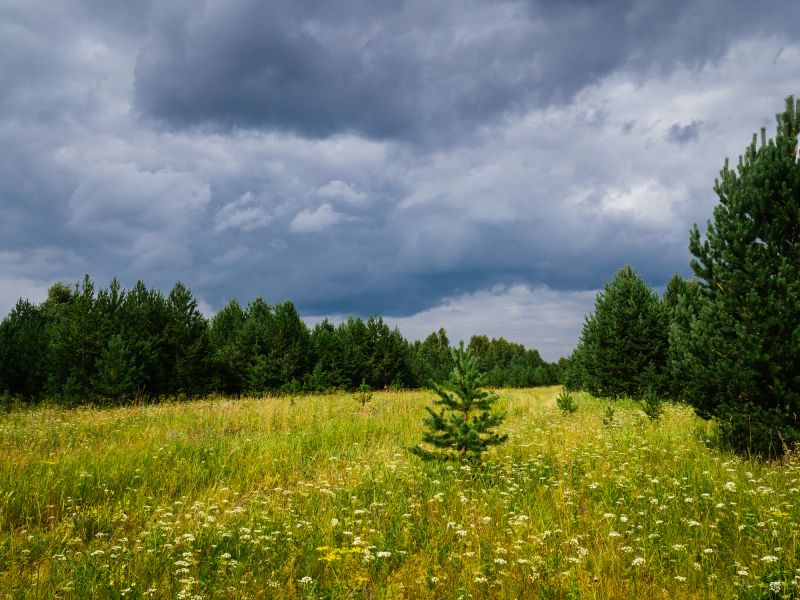 Hill Clearing in Gwinnett County, GA