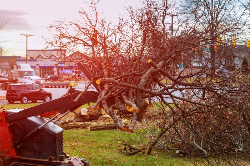 Land Clearing in Utah County, UT