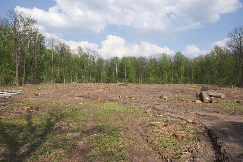 Land Clearing in Utah County, UT