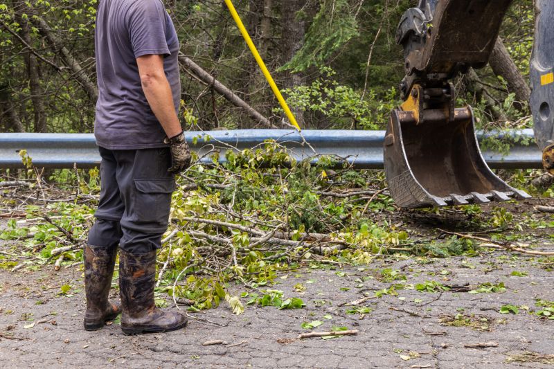 Site Clearing Service in Utah County, UT