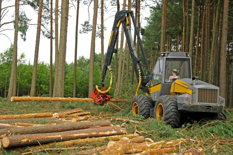 Equipment Used in Tree Clearing