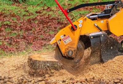 Stump Grinding and Site Preparation