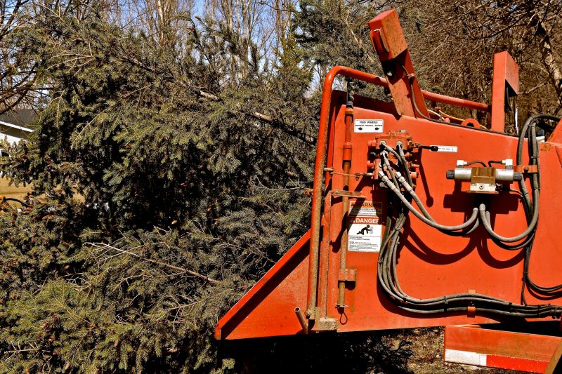 Tree Clearing Equipment