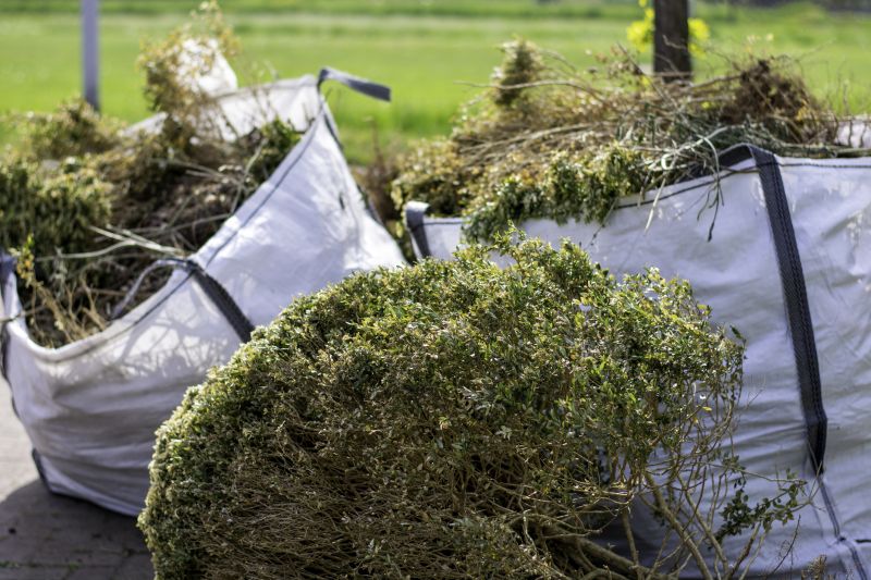 Undergrowth Removal in Utah County, UT