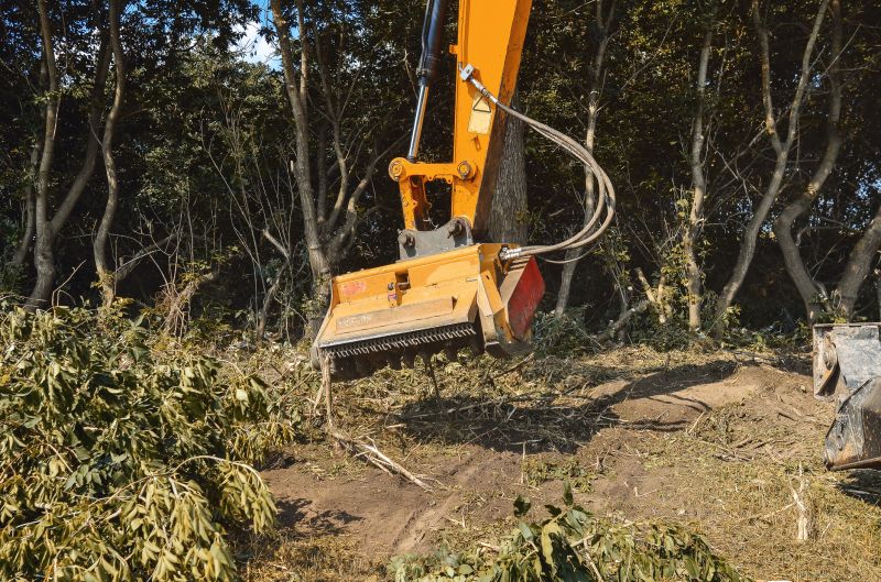 Undergrowth Removal in Gwinnett County, GA
