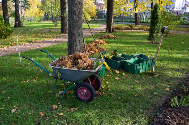 Undergrowth Removal in Gwinnett County, GA